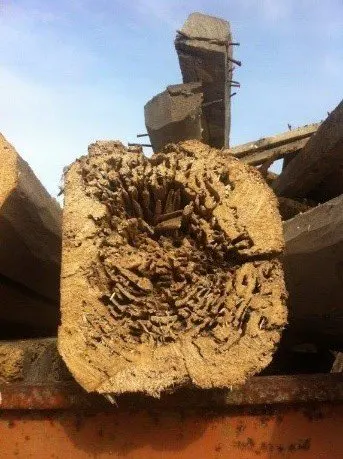 Traitement bois de charpente à Bordeaux